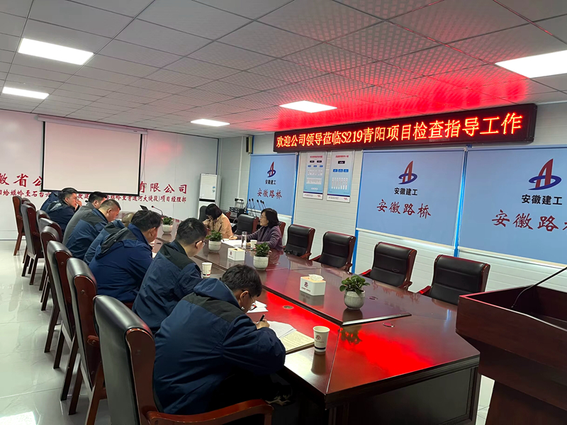 公司黨委委員、紀(jì)委書記王鵬到S219青陽改建項目調(diào)研指導(dǎo)工作